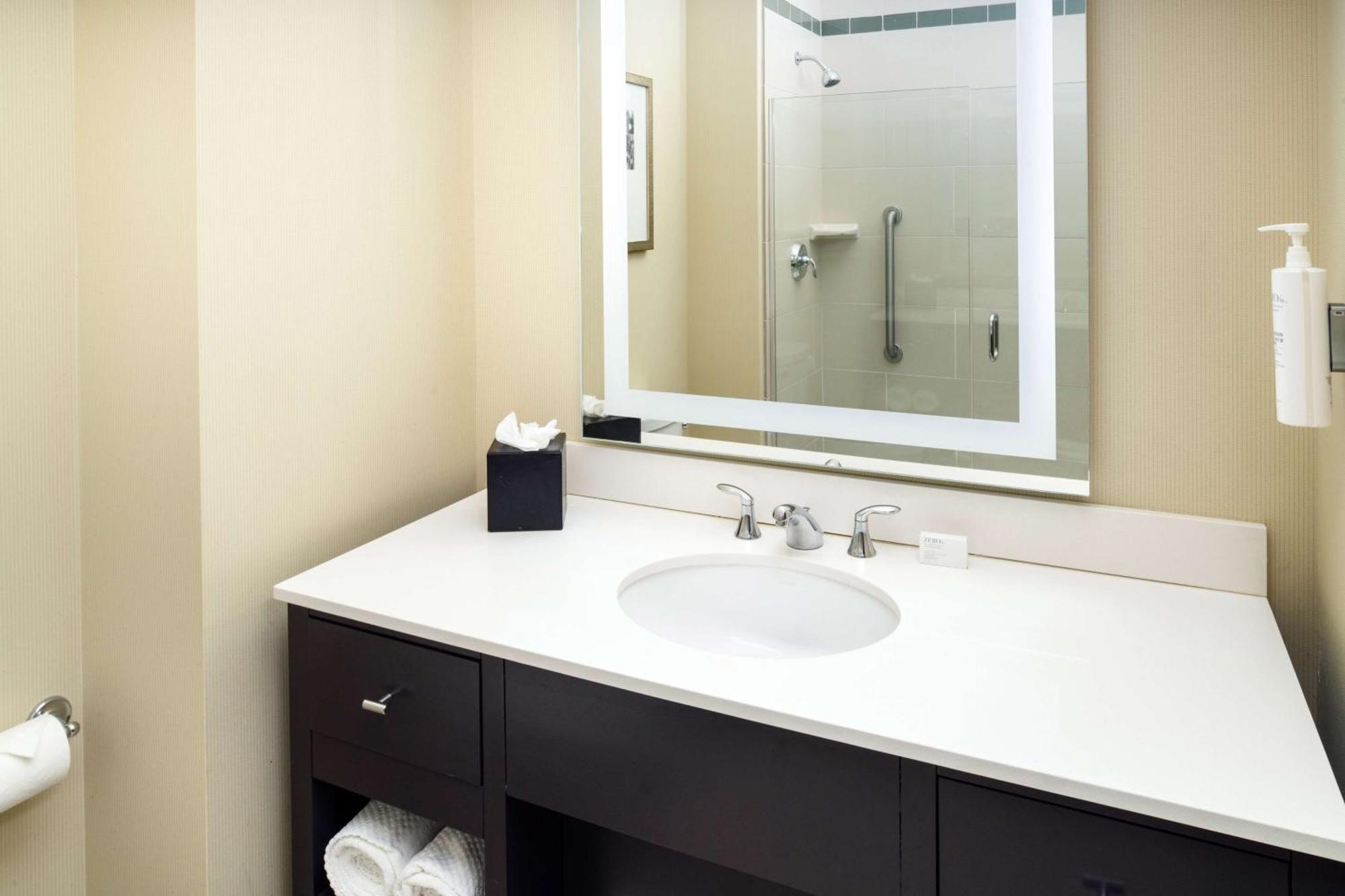 One-Bedroom King Suite Non-Smoking