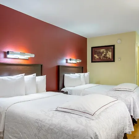 Red Roof Inn Plus+ St. Louis - Forest Park / Hampton Ave.-2